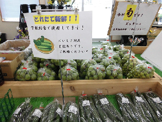 画像　野菜